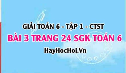 Giải bài 3 trang 24 Toán 6 Tập 1 SGK Chân trời sáng tạo